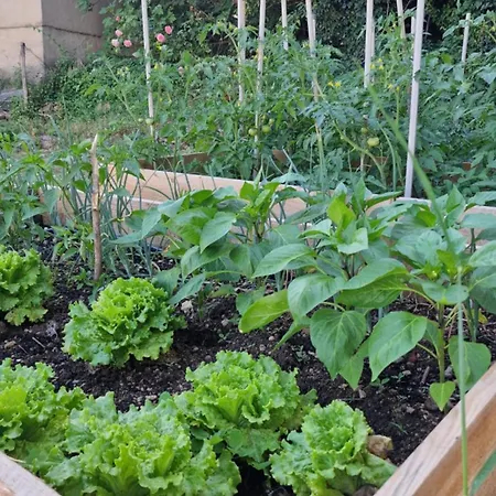 Dinara View Apartment-knin