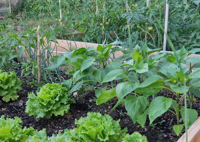 Dinara View Apartment-knin